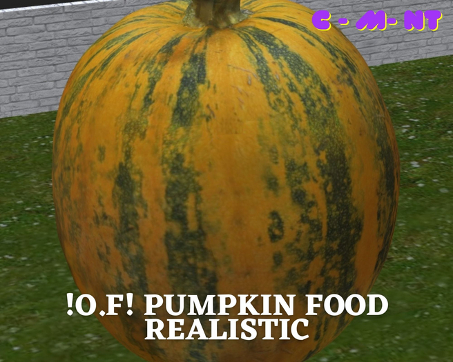 !O.F! pumpkin food realistic
