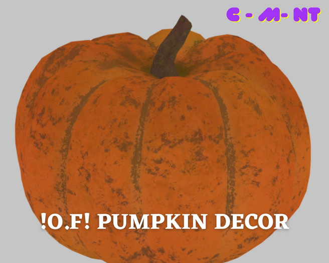 !O.F! Pumpkin decor