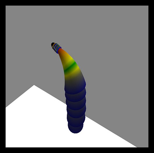 PB_Dark Rainbow Tail