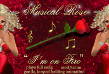 Musical Rose plays "I'm on Fire"
