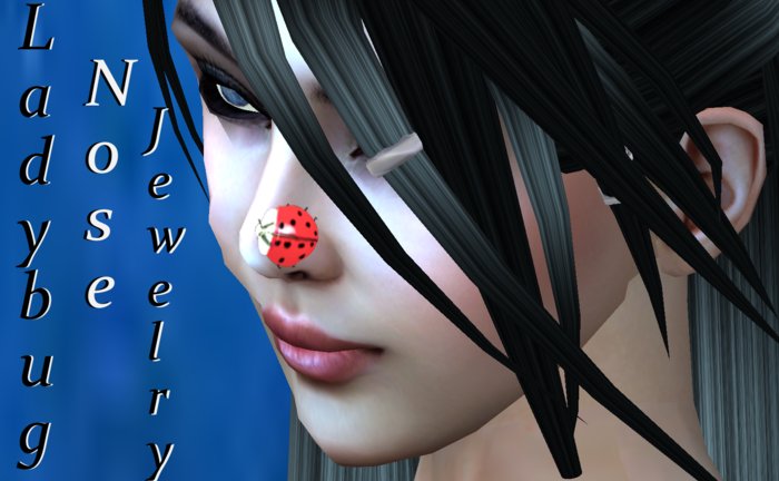 Ladybug Nose 49