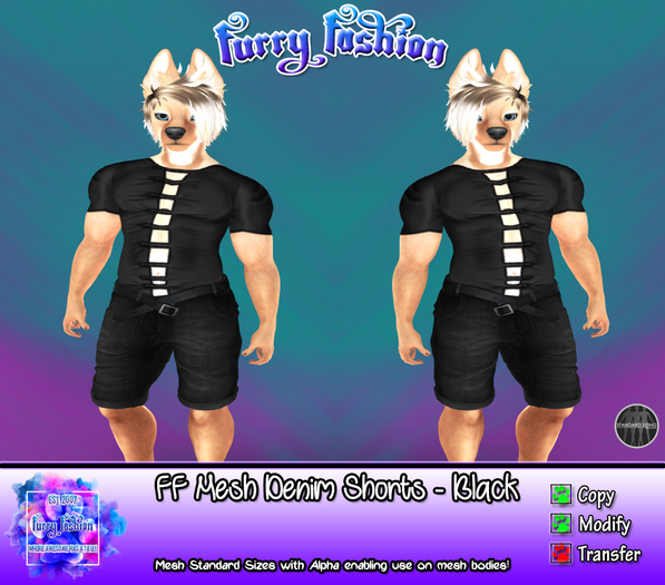 ~FF~ Mesh Denim Shorts DEMO