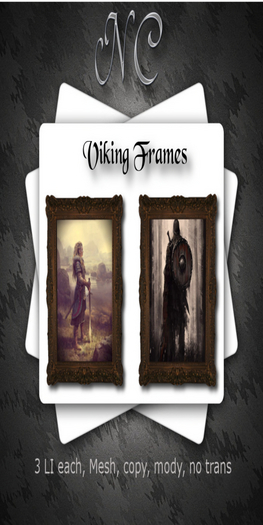 \\NC// - Viking Frames