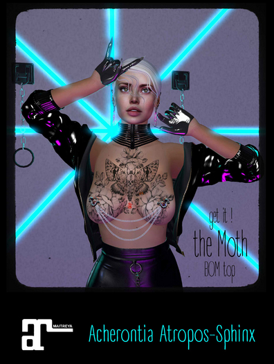 Acherontia Atropos-Sphinx_001