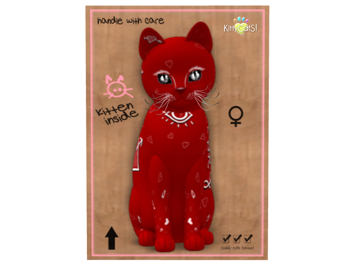 KittyCatS Box - New Born Kitten