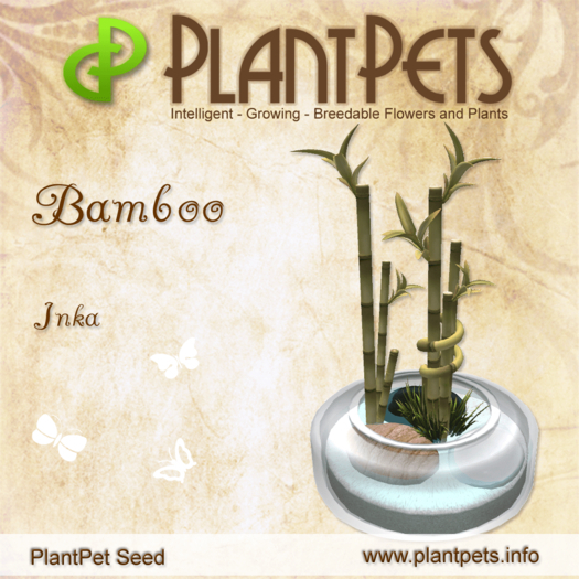PlantPet Seed [Bamboo *Inka*] - common - Updated