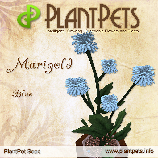 PlantPet Seed [Marigold *Blue*]COMMON