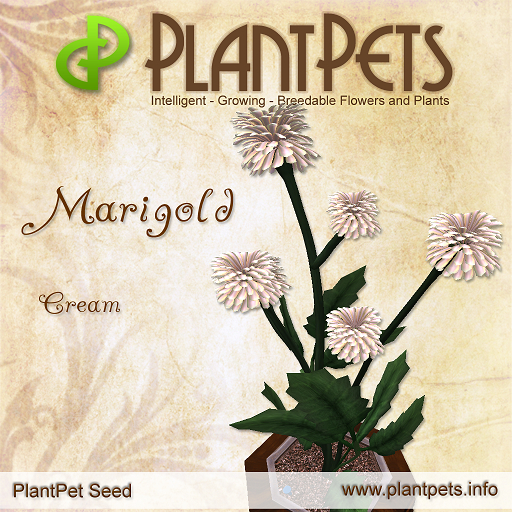 PlantPet Seed [Marigold *Cream*]