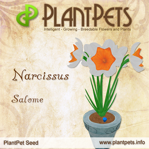 PlantPet Seed [Narcissus *Salome*]