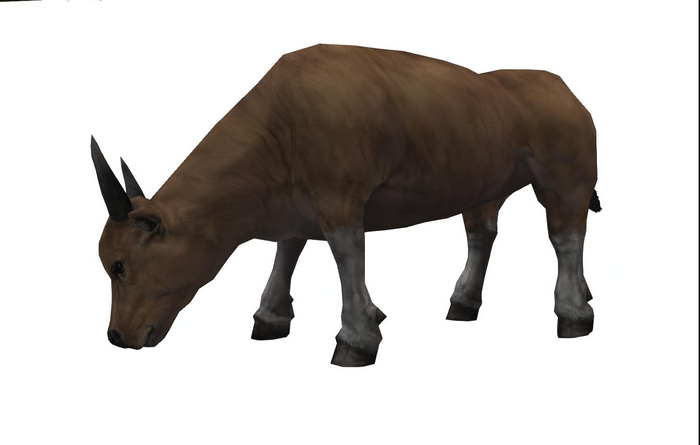 (AURA) BULL BOXED