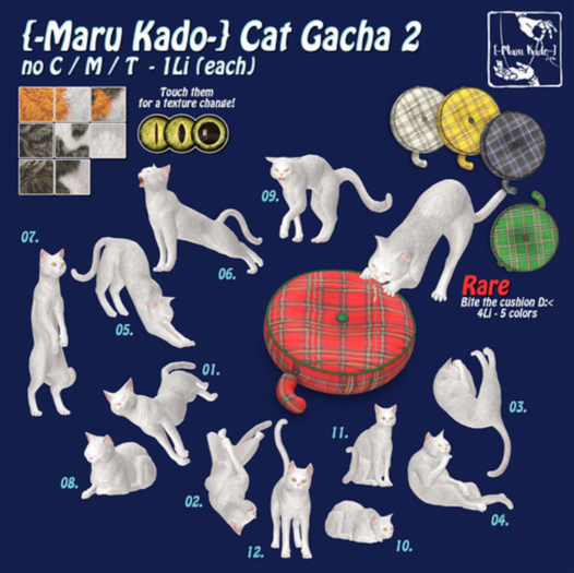 00_{-Maru Kado-} Cat2_bite (4Li) RARE