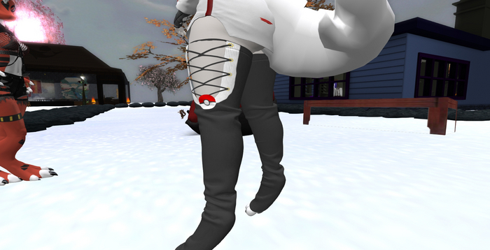 AP: Long Socks Laced Up Pokeball Sockies