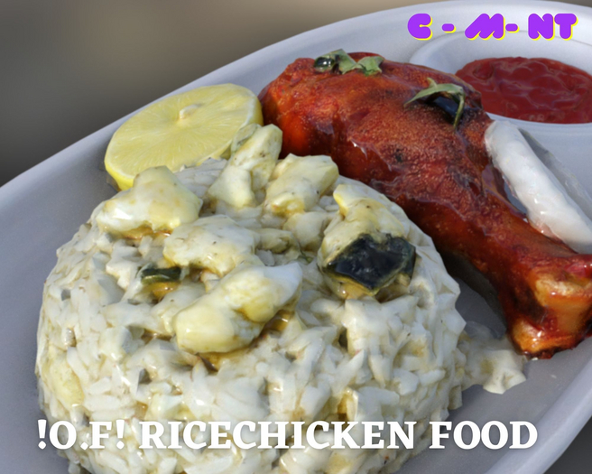 !O.F! Ricechicken Food