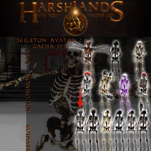 [HL] Skeleton Avatar - Stone (BOX)