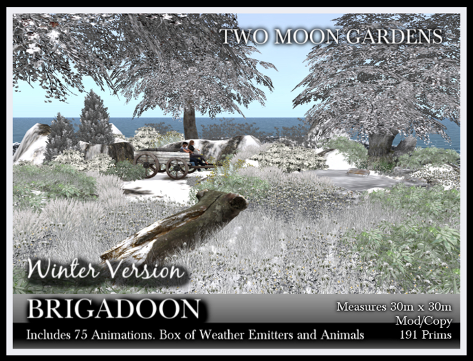 Winter Garden|Brigadoon