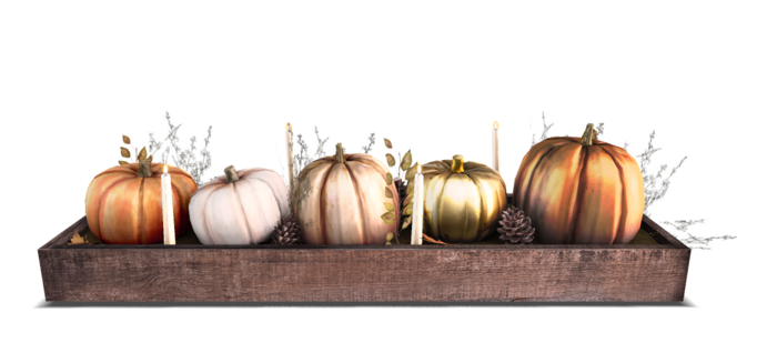 ionic : Pupmking table centerpiece