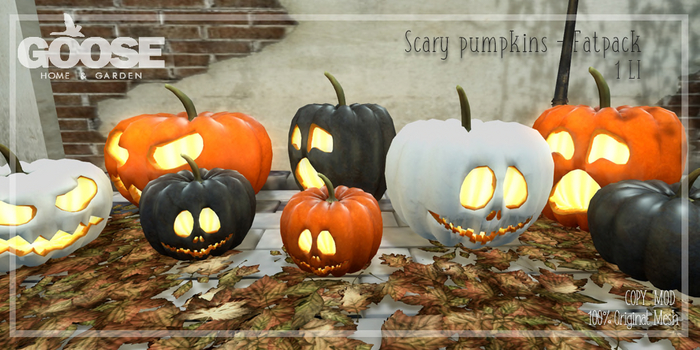 GOOSE - Scary pumpkin FATPACK 