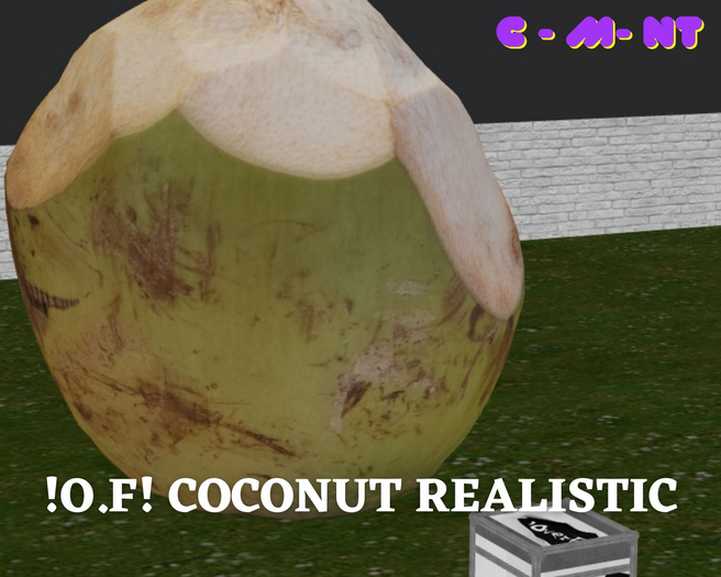 !O.F! Coconut Realistic