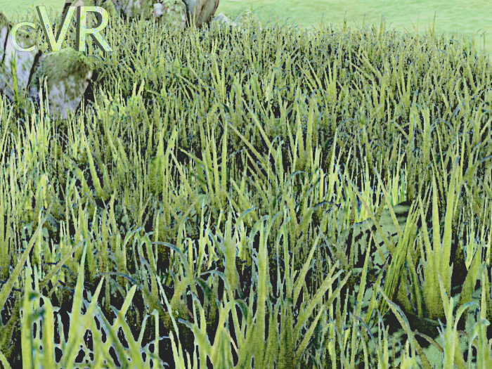 cVR Grass b1 box