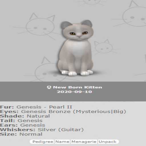 KittyCatS Box - New Born Kitten 