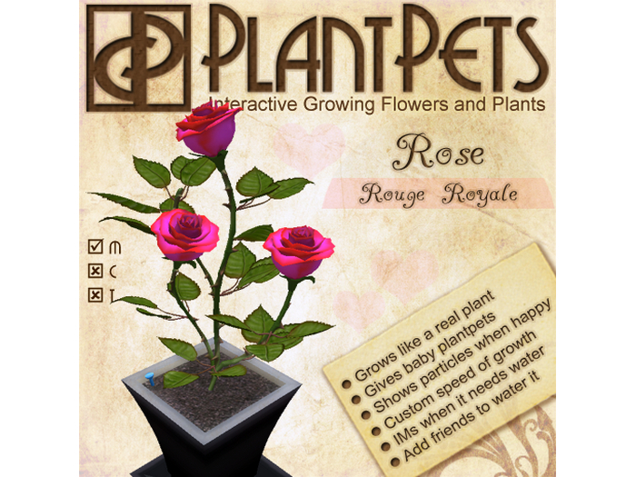 PlantPet Seed [Rose *Rouge Royale*]