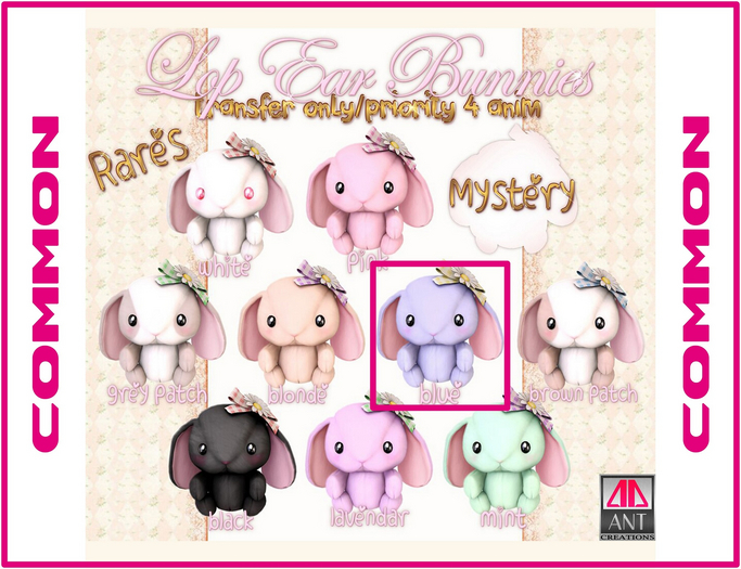 .tsg. Lop Ear Bunnies - Blue