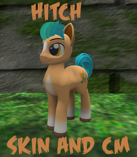 Hitch skin and cm