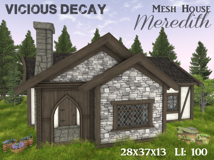 Vicious Decay - Mesh House Meredith