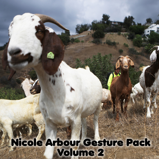 .:MD:. Nicole Arbour Gestures Volume 2 (Megapack!)