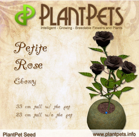 PlantPet Seed [Petite Rose *Ebony*]