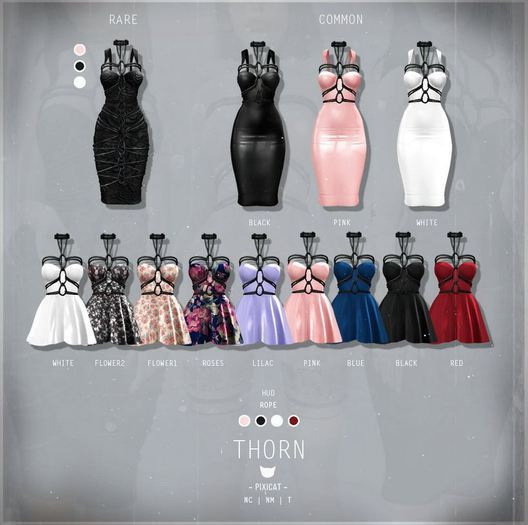 -Pixicat- Thorn. rare white