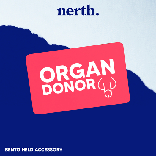 NERTH / BIZNIZ CARDS / DONOR