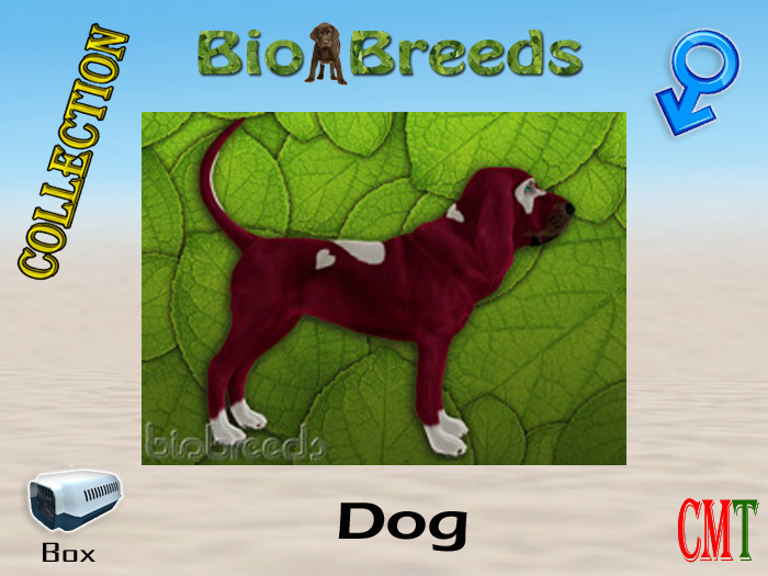 BioBreeds BB Valentine's 2021 Epic BLH Box Male