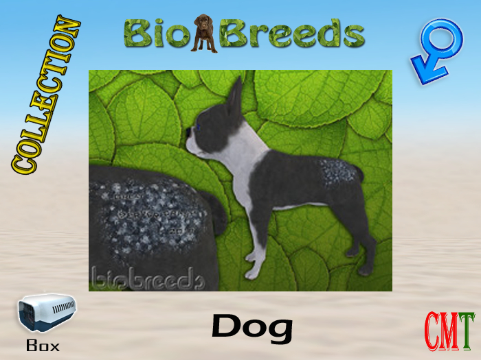 BioBreeds BB I Survived Epic BT Box Male