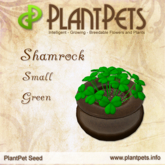 PlantPet Seed [Shamrock *Small Green*]
