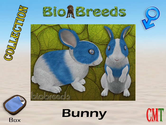 BioBreeds BB 10th Anniversary Epic Bunny Box Male