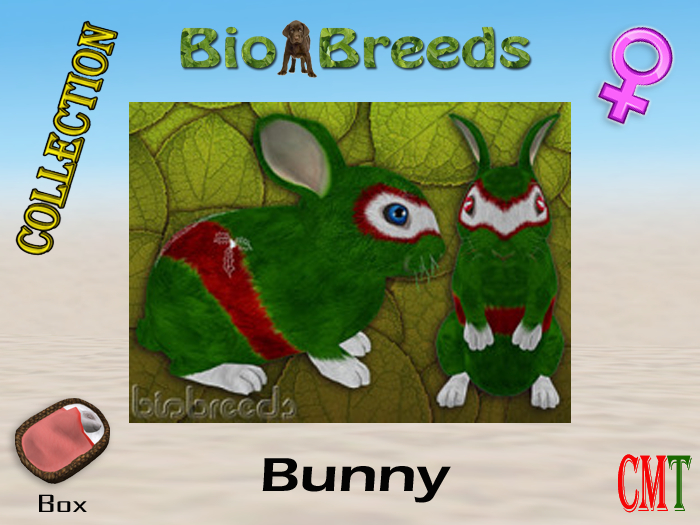 BioBreeds BB Christmas 2020 Epic Bunny Box Female