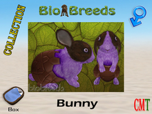 BioBreeds BB Easter 2019 Epic Bunny Box Male