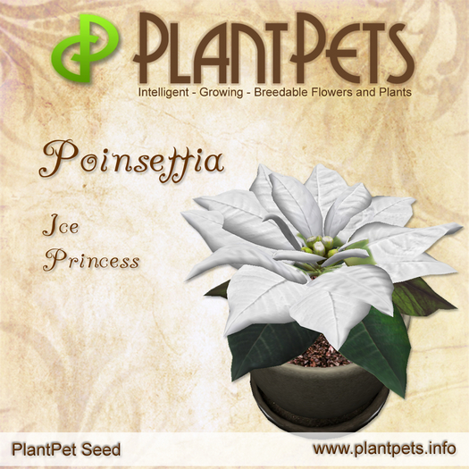 PlantPet Seed [Poinsettia *Ice Princess*]