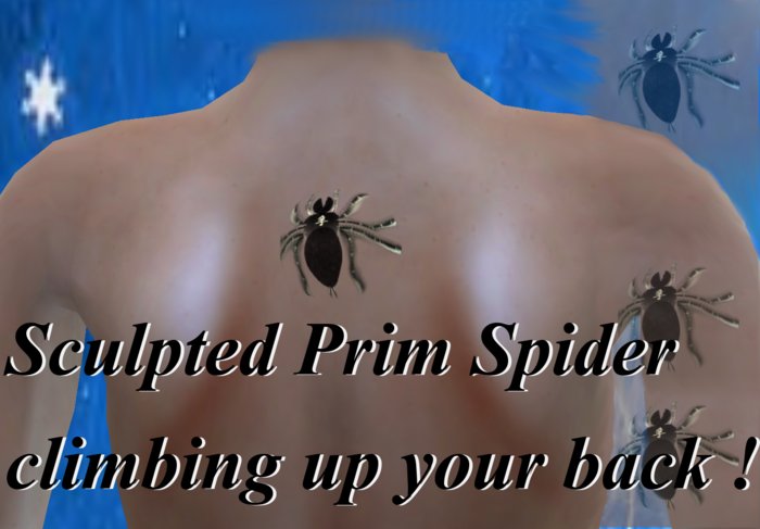 Large spider back 