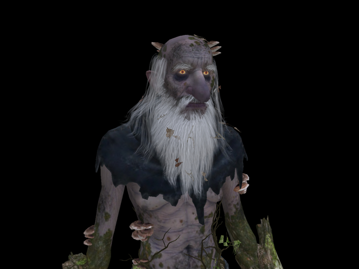 BOX ESTATUA VIEJO ARBOL BARBUDO XXI