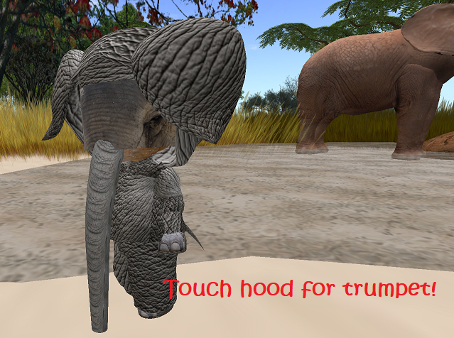 Dinkie Elephant