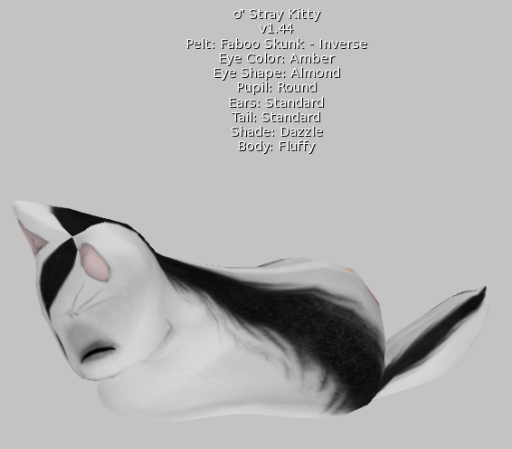 Stray Cats Kitten (M) - Faboo Skunk - Inverse