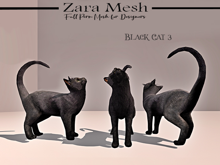Zara Mesh - Animals - Black Cat 3 - FULL PERM MESH