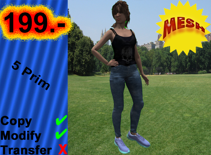 004101 copy,modify