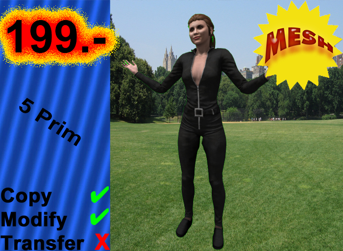 004138 copy,modify