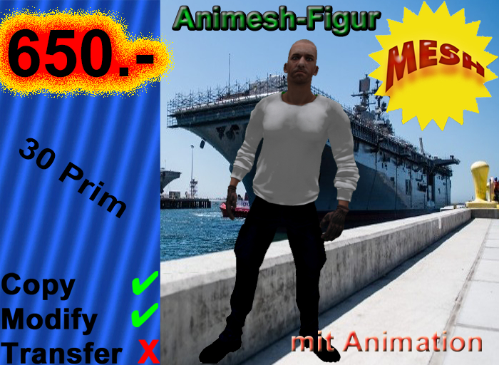 004155 copy,modify