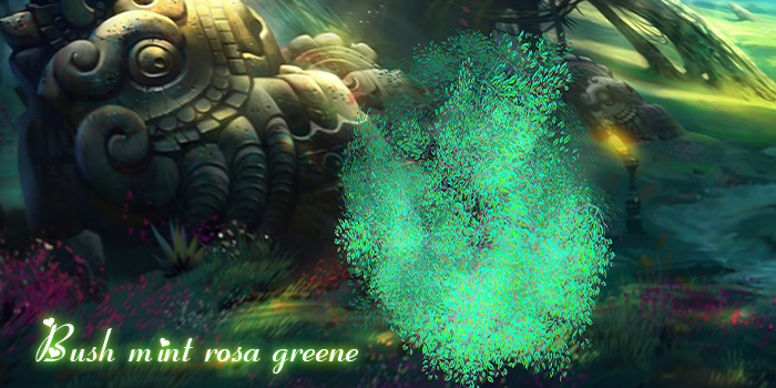 Bush mint rosa green