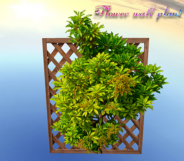 flower wall blend