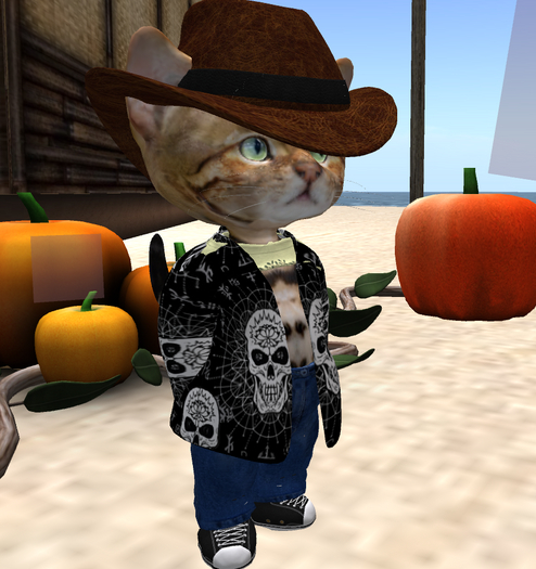 Dinkie skull jacket